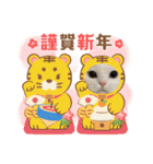 正月cats（個別スタンプ：8）