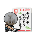 わたげ_stamp（個別スタンプ：39）