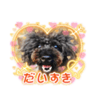 トイプードルのチョッパー2（個別スタンプ：11）