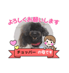 トイプードルのチョッパー2（個別スタンプ：13）