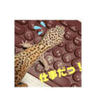 コッペとオレオの生活（個別スタンプ：1）