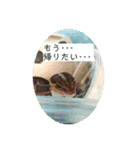 コッペとオレオの生活（個別スタンプ：4）