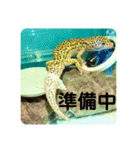 コッペとオレオの生活（個別スタンプ：5）