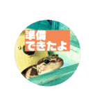 コッペとオレオの生活（個別スタンプ：6）
