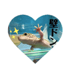 コッペとオレオの生活（個別スタンプ：12）