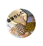 コッペとオレオの生活（個別スタンプ：14）