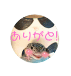 コッペとオレオの生活（個別スタンプ：23）