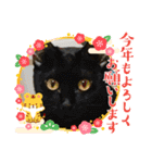 うちの子供達久しぶりのスタンプお正月編（個別スタンプ：1）