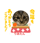 うちの子供達久しぶりのスタンプお正月編（個別スタンプ：2）