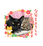 うちの子供達久しぶりのスタンプお正月編（個別スタンプ：3）