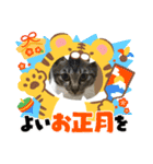 うちの子供達久しぶりのスタンプお正月編（個別スタンプ：4）