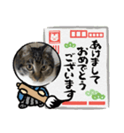 うちの子供達久しぶりのスタンプお正月編（個別スタンプ：5）