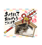 うちの子供達久しぶりのスタンプお正月編（個別スタンプ：7）