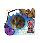 うちの子供達久しぶりのスタンプお正月編（個別スタンプ：11）