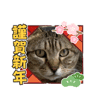 うちの子供達久しぶりのスタンプお正月編（個別スタンプ：12）