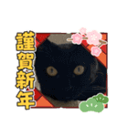 うちの子供達久しぶりのスタンプお正月編（個別スタンプ：13）