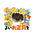 うちの子供達久しぶりのスタンプお正月編（個別スタンプ：14）