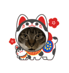 うちの子供達久しぶりのスタンプお正月編（個別スタンプ：15）