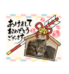 うちの子供達久しぶりのスタンプお正月編（個別スタンプ：18）