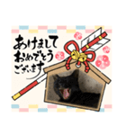 うちの子供達久しぶりのスタンプお正月編（個別スタンプ：19）