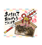 うちの子供達久しぶりのスタンプお正月編（個別スタンプ：21）