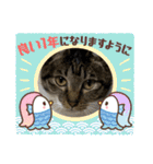 うちの子供達久しぶりのスタンプお正月編（個別スタンプ：22）