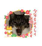 うちの子供達久しぶりのスタンプお正月編（個別スタンプ：24）