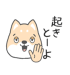 博多弁-柴犬（個別スタンプ：3）