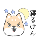 博多弁-柴犬（個別スタンプ：4）