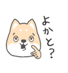 博多弁-柴犬（個別スタンプ：7）