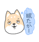 博多弁-柴犬（個別スタンプ：22）