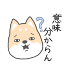 博多弁-柴犬（個別スタンプ：25）