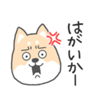 博多弁-柴犬（個別スタンプ：28）