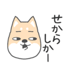 博多弁-柴犬（個別スタンプ：39）