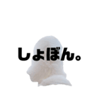 日本スピッツ☆ユキチ（個別スタンプ：16）