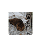 ボサノバと仲間たち（個別スタンプ：8）