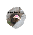 ボサノバと仲間たち（個別スタンプ：10）