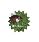 ボサノバと仲間たち（個別スタンプ：23）