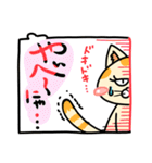 大好き！おま猫①（個別スタンプ：4）