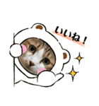 やえがし家のにゃんこたち（個別スタンプ：8）
