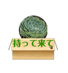 窓辺の観葉植物（個別スタンプ：3）