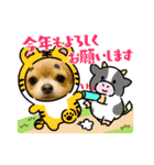 ランちゃんわんこスタンプ（個別スタンプ：15）