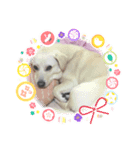 あんちゃんソウル（個別スタンプ：3）