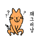 いつも明るい猫（個別スタンプ：17）