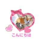 くうちゃんカーラちゃんのかわいいスタンプ（個別スタンプ：3）