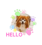 くうちゃんカーラちゃんのかわいいスタンプ（個別スタンプ：4）