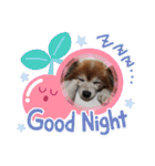 くうちゃんカーラちゃんのかわいいスタンプ（個別スタンプ：7）