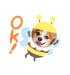 くうちゃんカーラちゃんのかわいいスタンプ（個別スタンプ：29）