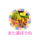 くうちゃんカーラちゃんのかわいいスタンプ（個別スタンプ：32）