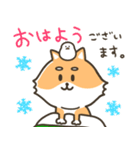 柴犬こまつのふゆのスタンプ（個別スタンプ：1）